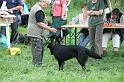 Pfostenschau (420)